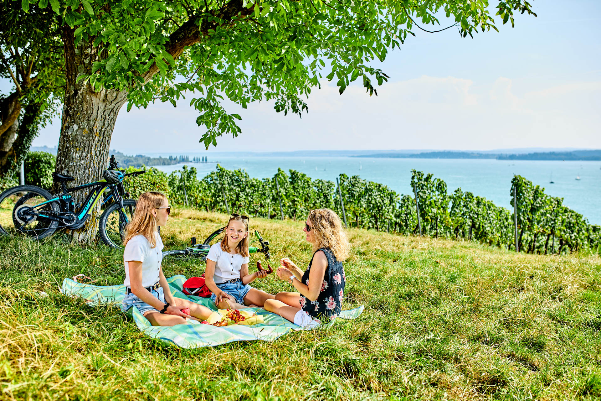 Familie picknickt zwischen Weinreben und genießt die Aussicht auf den Bodensee